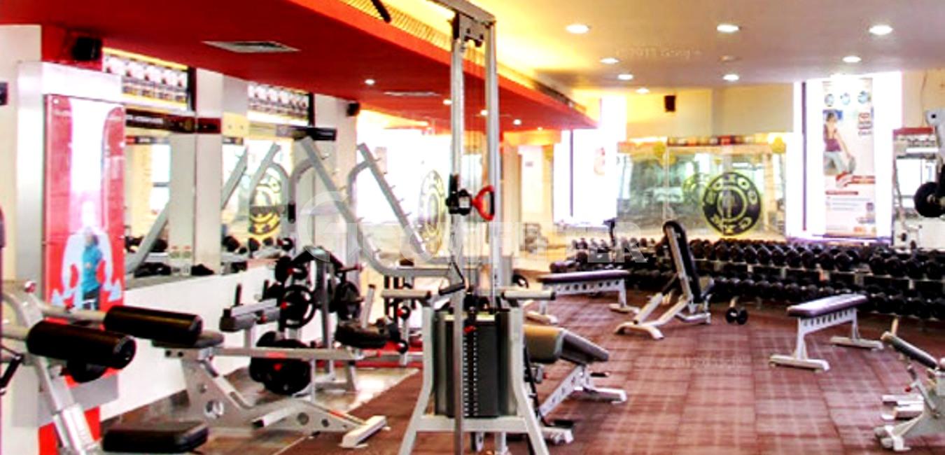 Everyday Fitness Gym Sector 28 Faridabad Fitness And Workout