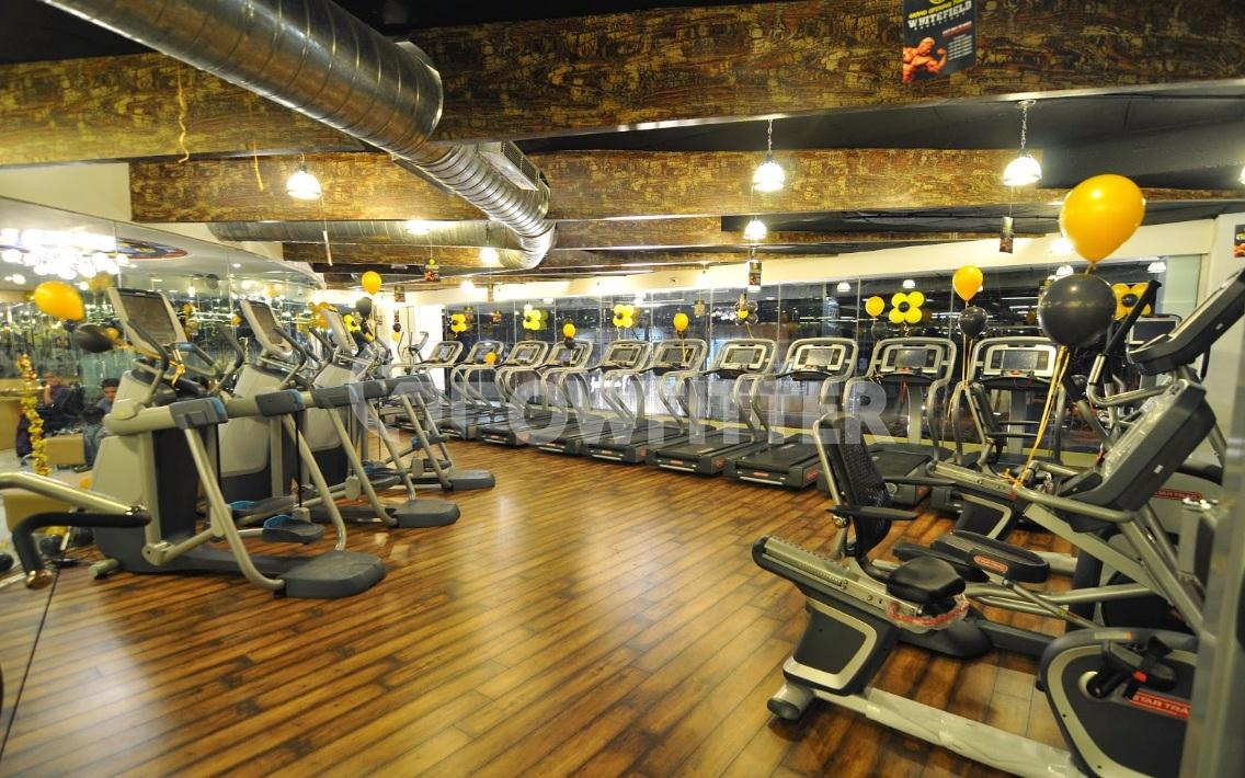 Gold S Gym Whitefield - Bangalore | Gym Membership Fees, Timings